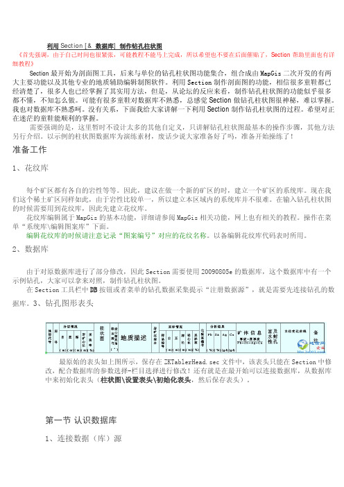 利用Section数据库制作钻孔柱状图