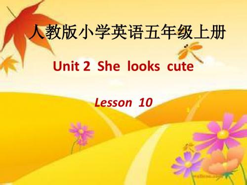 人教精通版英语五年级上册Unit 2《She looks cute》(Lesson 10)ppt课件