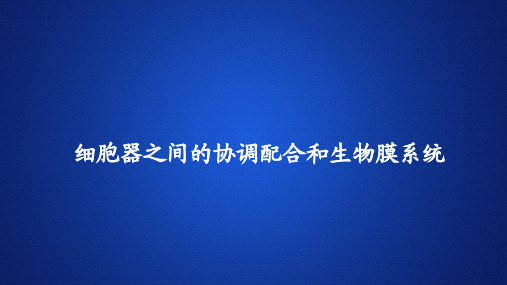 高中生物课件《细胞器之间的协调配合和生物膜系统》