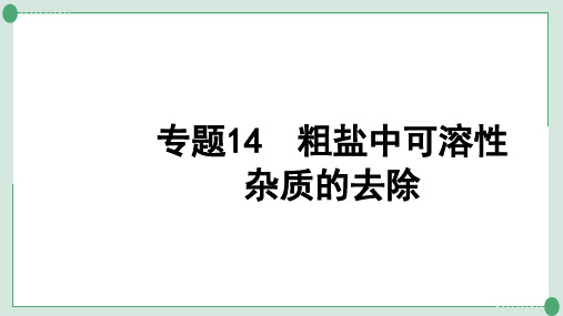 中考化学系统复习专题粗盐中可溶性杂质的去除