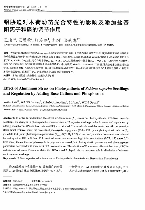 铝胁迫对木荷幼苗光合特性的影响及添加盐基阳离子和磷的调节作用