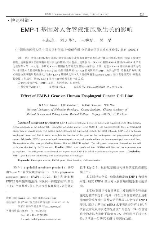 EMP-1 基因对人食管癌细胞系生长的影响