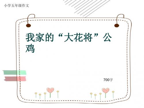 小学五年级作文《我家的“大花将”公鸡》700字(共13页PPT)