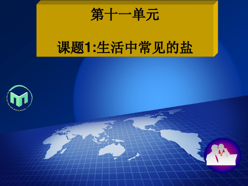 人教版化学九年级下说课 第十一单元 课题一 生活中常见的盐 说课课件( 53张PPT)