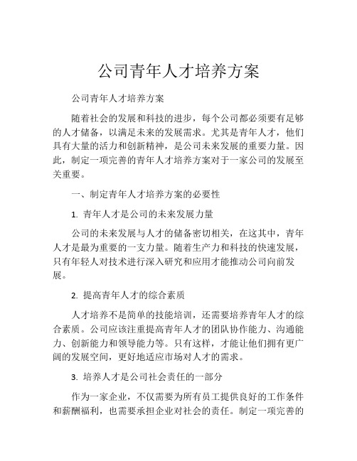 公司青年人才培养方案