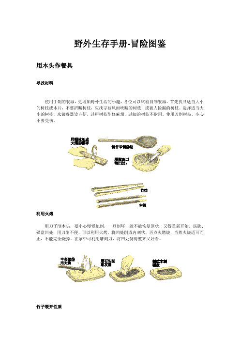 野外生存手册-冒险图鉴