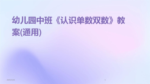 2024年度幼儿园中班《认识单数双数》教案(通用)