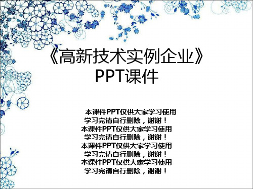 《高新技术实例企业》PPT课件