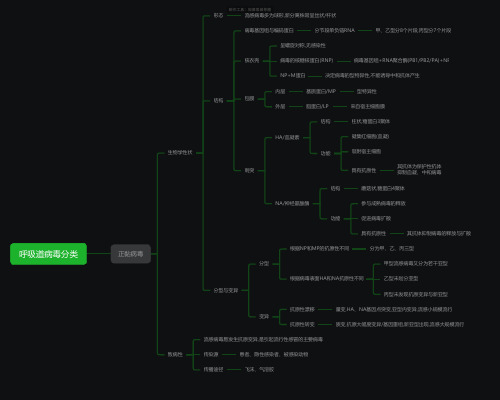 医学微生物学-呼吸道病毒分类思维导图-高清简单脑图模板-知犀思维导图