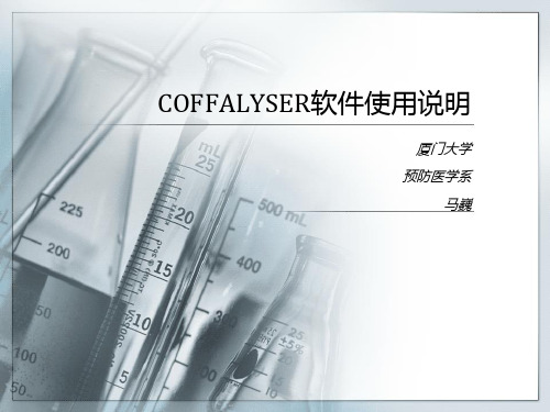 COFFALYSER软件使用说明