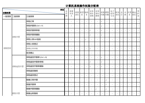 02-计算机系统操作权限分配表---------