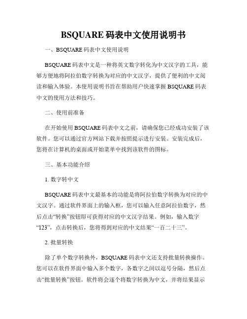 BSQUARE码表中文使用说明书