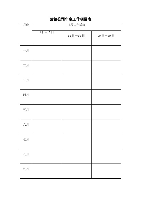 索芙特公司营销全套资料