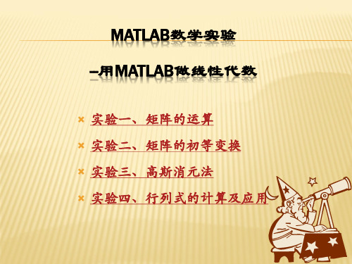 用MATLAB计算线性代数课件