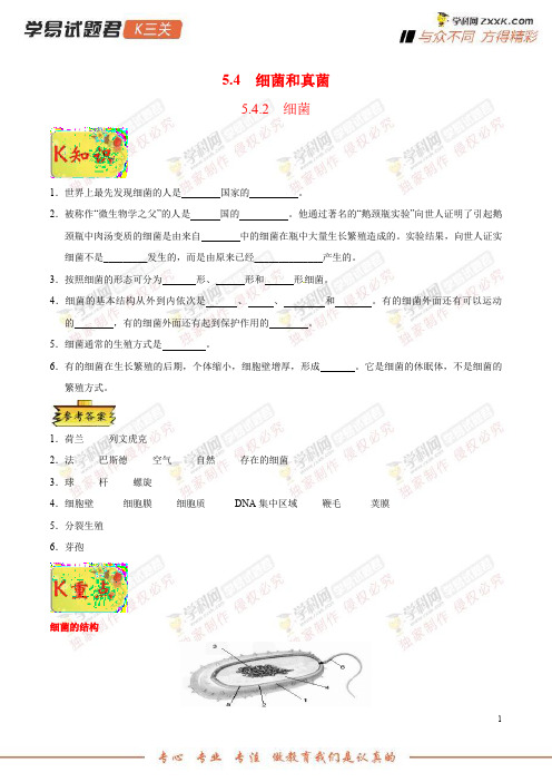 专题542细菌-学易试题君之K三关2019学年八年级生物人教版(上册)