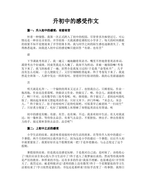 升初中的感受作文