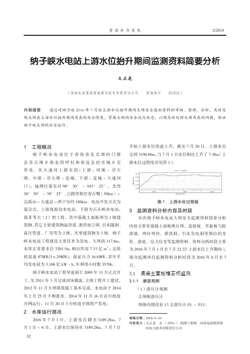 纳子峡水电站上游水位抬升期间监测资料简要分析