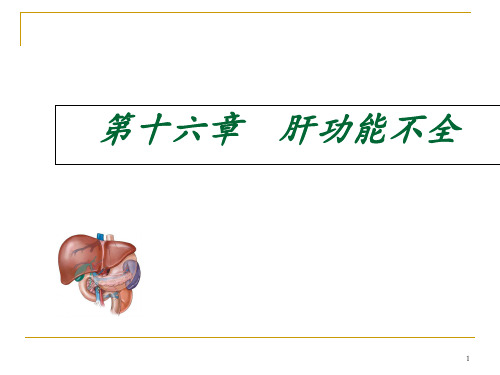 肝功能不全药学 ppt课件