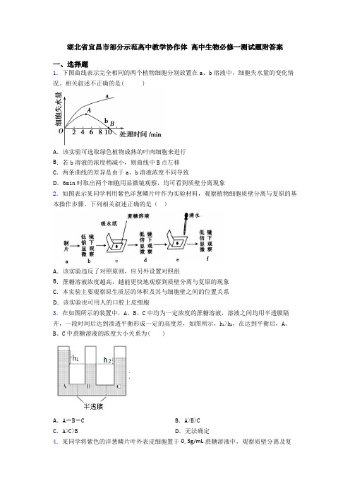 湖北省宜昌市部分示范高中教学协作体 高中生物必修一测试题附答案