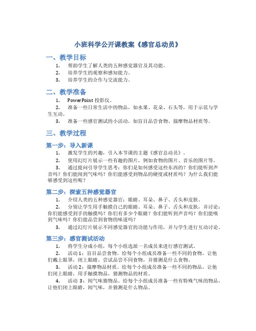 小班科学公开课教案《感官总动员》