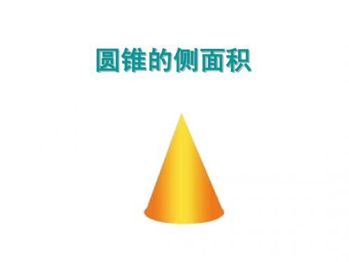 《圆锥的侧面积》