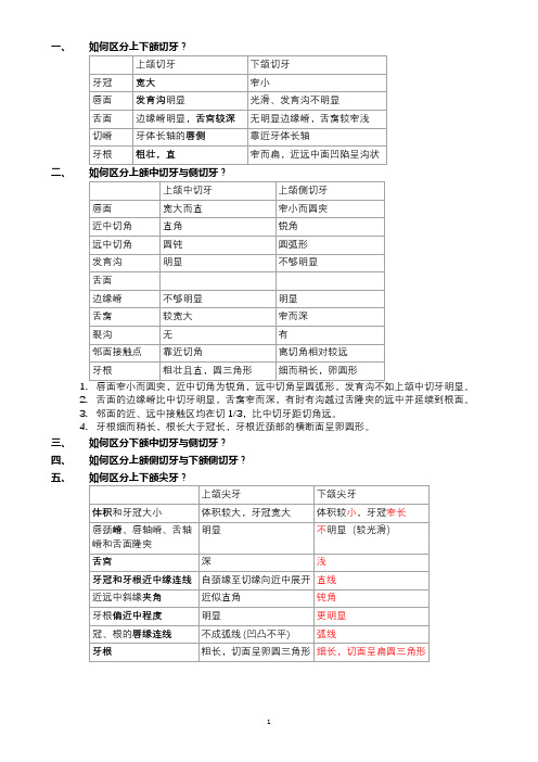 口腔解剖生理学重点问题(大题)整理