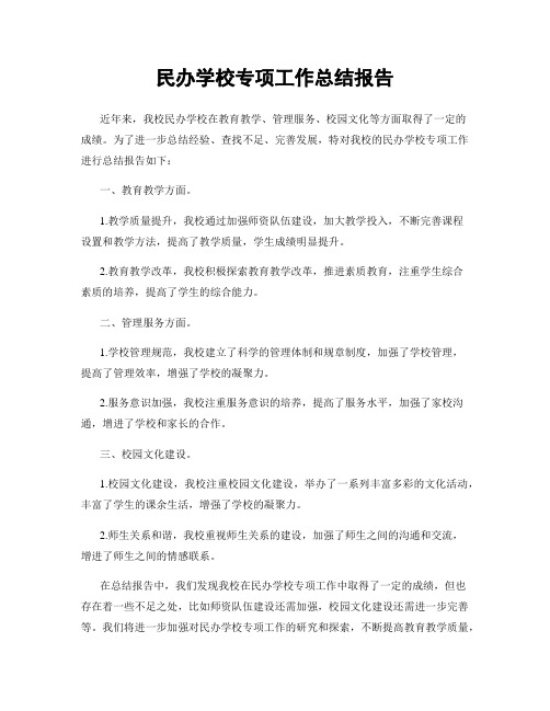 民办学校专项工作总结报告