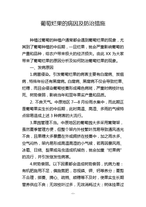 葡萄烂果的病因及防治措施