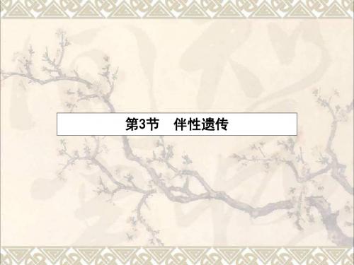 高中生物2.3伴性遗传课件新人教版必修2