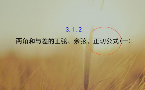 最新-2021高中数学必修四课件：3.1.2 两角和与差的正弦、余弦、正切公式1 精讲优练课型 精品