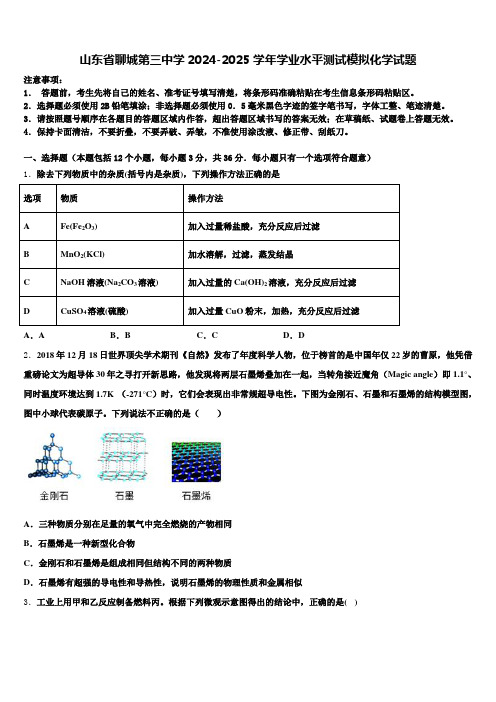 山东省聊城第三中学2024-2025学年学业水平测试模拟化学试题含解析