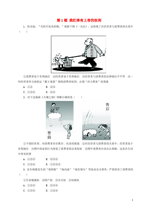 八年级政治下册 第三单元 我们的文化、经济权利 第八课 消费者的权益 第1框 我们享有上帝的权利同步