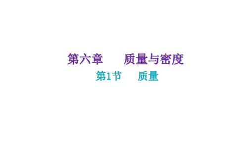 人教版八年级物理上册6-1    质量 课件