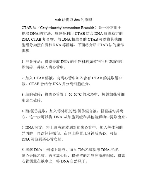 ctab法提取dna的原理