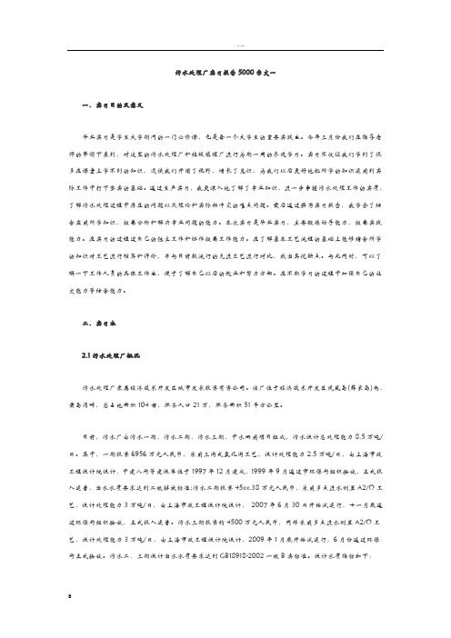 污水处理厂实习报告5000字范文