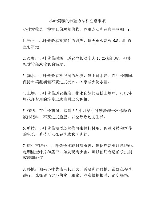 小叶紫薇的养殖方法和注意事项