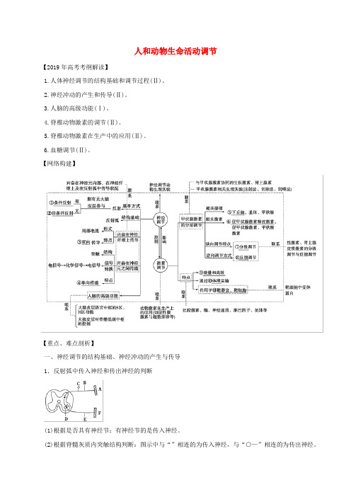 2019年高考生物考纲解读与热点难点突破专题09人和动物生命活动调节教学案