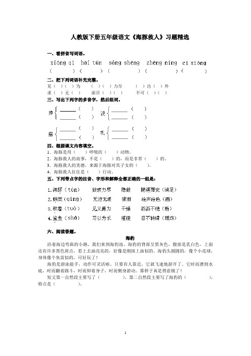 人教版下册五年级语文海豚救人练习含答案