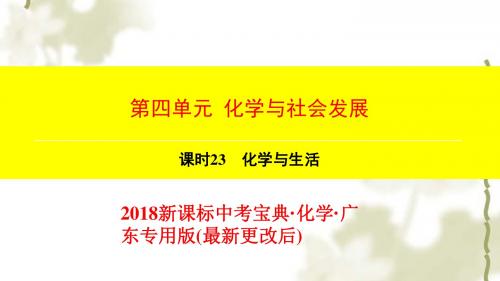 第4单元-课时23-化学与生活 2018新课标中考宝典·化学·广东专用版(最新更改后)