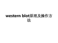 western blot原理及操作方法ppt课件