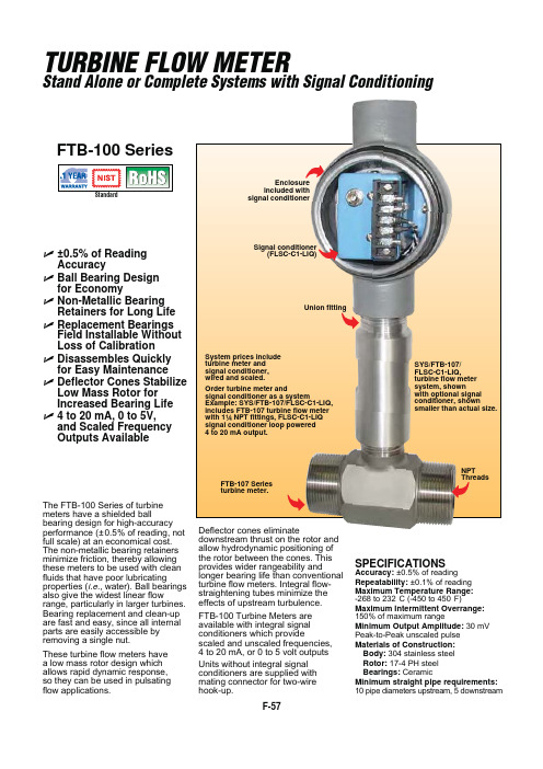 FTB-100系列流量计说明书.pdf_1718724586.7624223