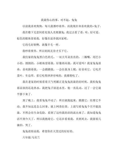 我最伤心的事对不起兔兔-作文