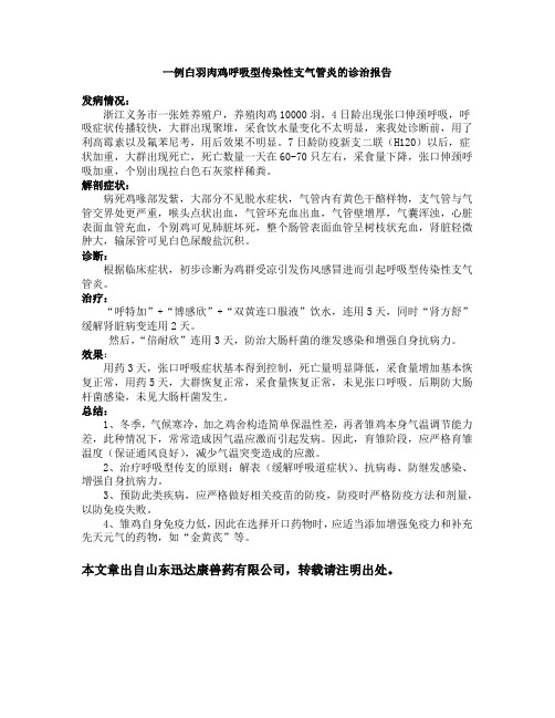 白羽肉鸡呼吸型传染性支气管炎治疗