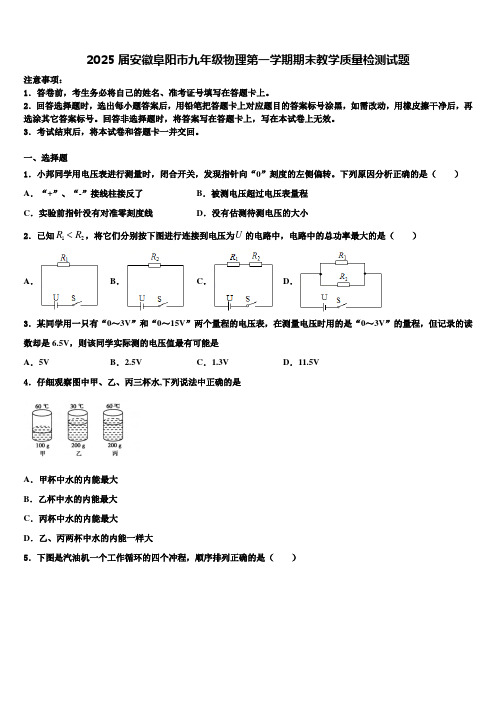 2025届安徽阜阳市九年级物理第一学期期末教学质量检测试题含解析