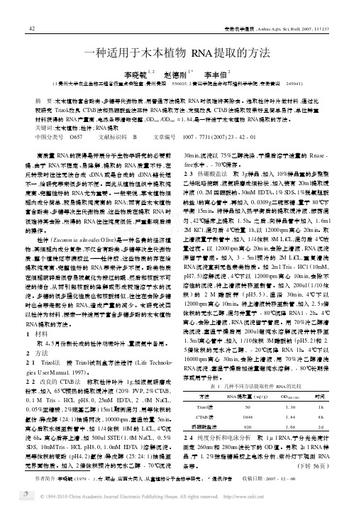 一种适用于木本植物RNA提取的方法