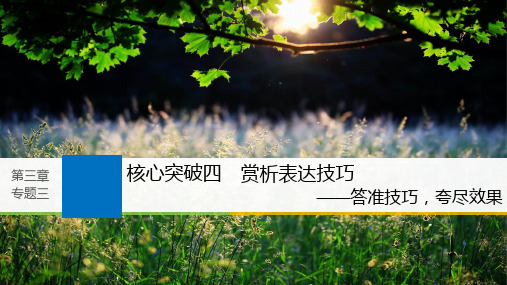 高考一轮复习备考资料之语文：第三章 文学类文本阅读·散文阅读 专题三 核心突破四 