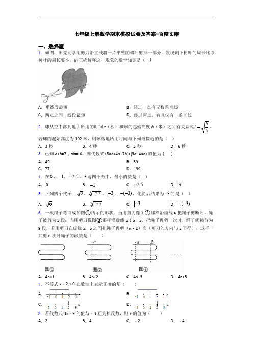 七年级上册数学期末模拟试卷及答案-百度文库