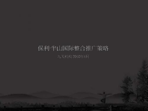 九天机构2010年4月南昌保利半山国际整合推广的策略-PPT精选