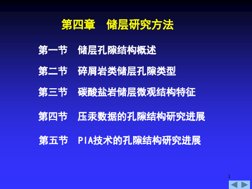 石油天然气地质学 第4章储层孔隙结构新进展