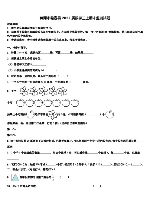 黄冈市蕲春县2025届数学三上期末监测试题含解析